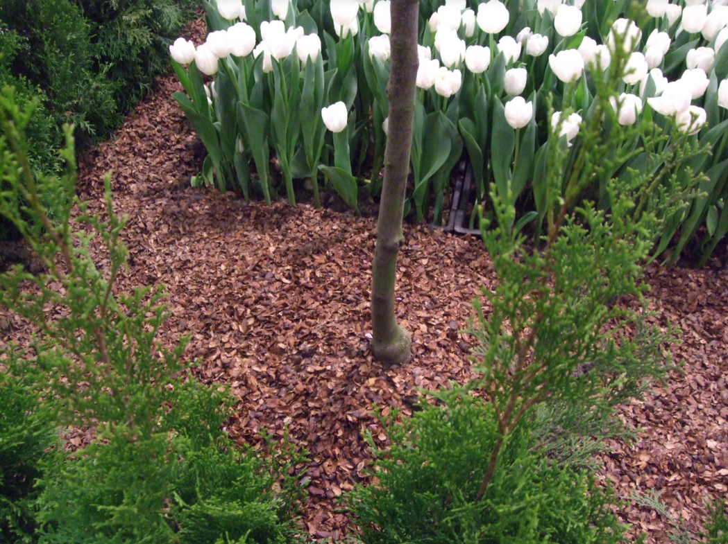 Torpanpiha® Kaakaokuorikate