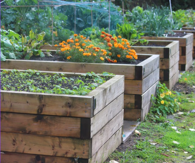 Torpanpiha® Luomuviljelymulta (tilaustuote)