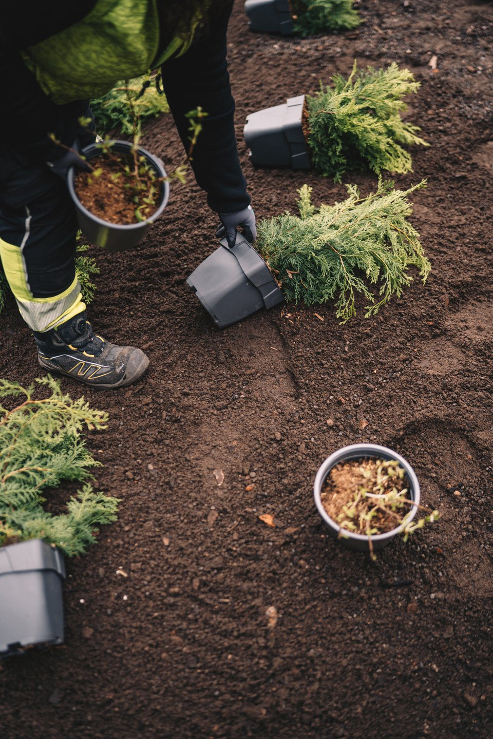 Torpanpiha® Kattopuutarhamulta