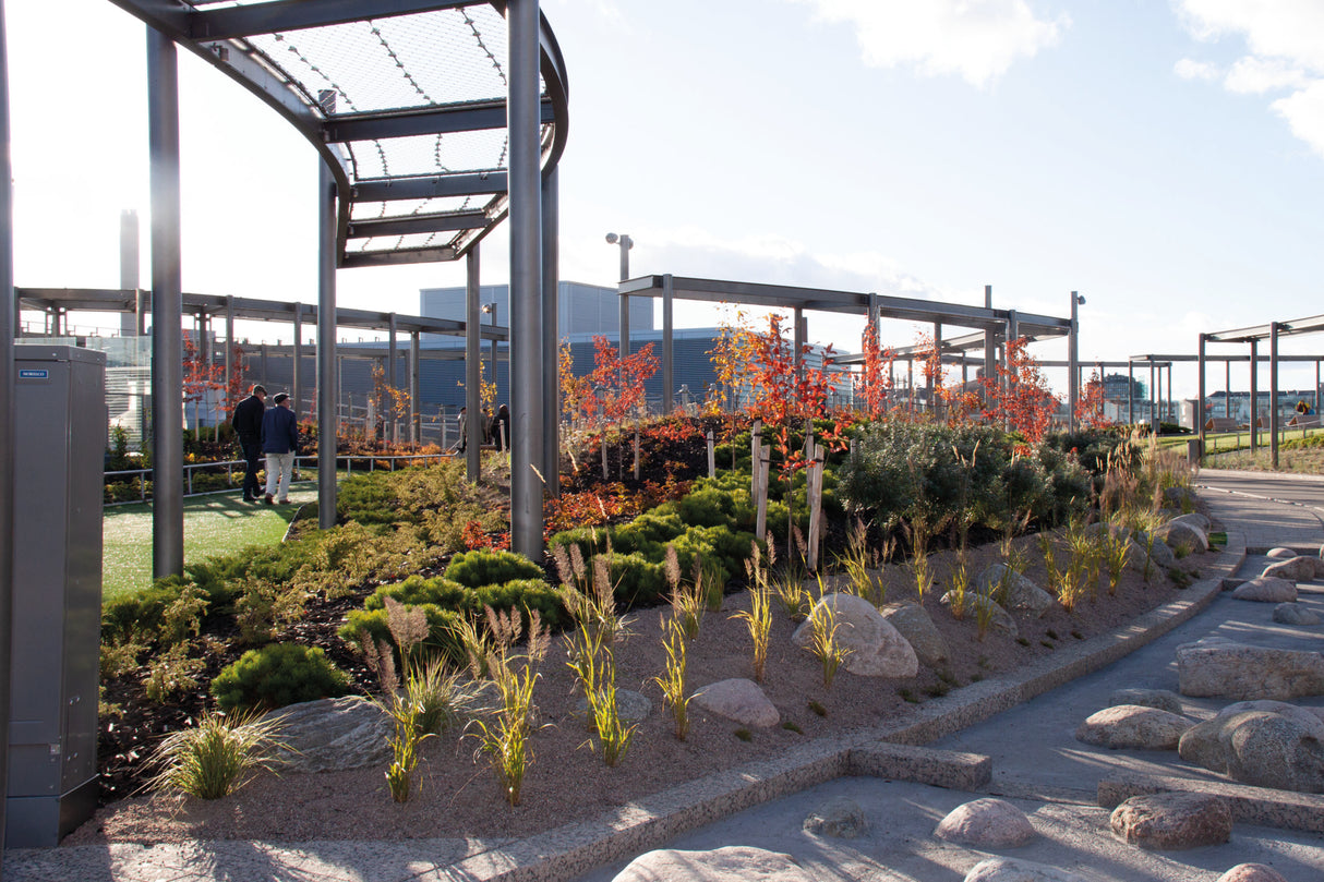 Torpanpiha® Kattopuutarhamulta