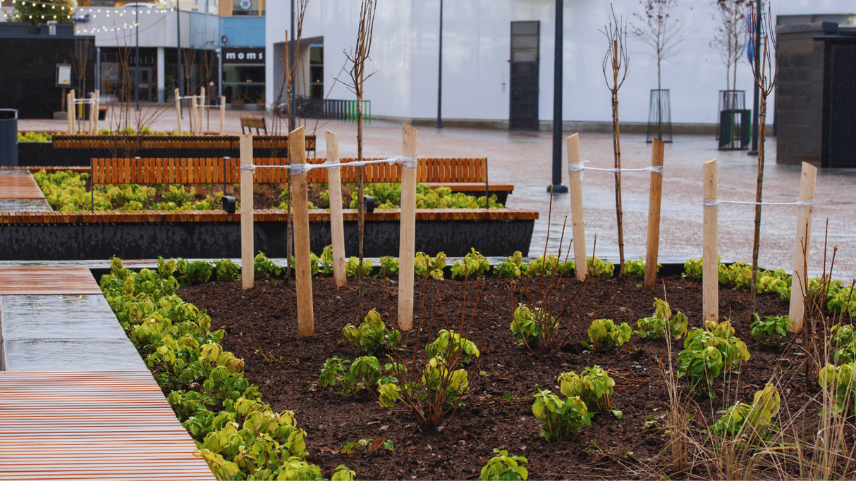 Torpanpiha® Istutusmulta