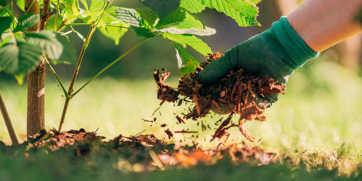 Torpanpiha® Puistokate MÄNTY