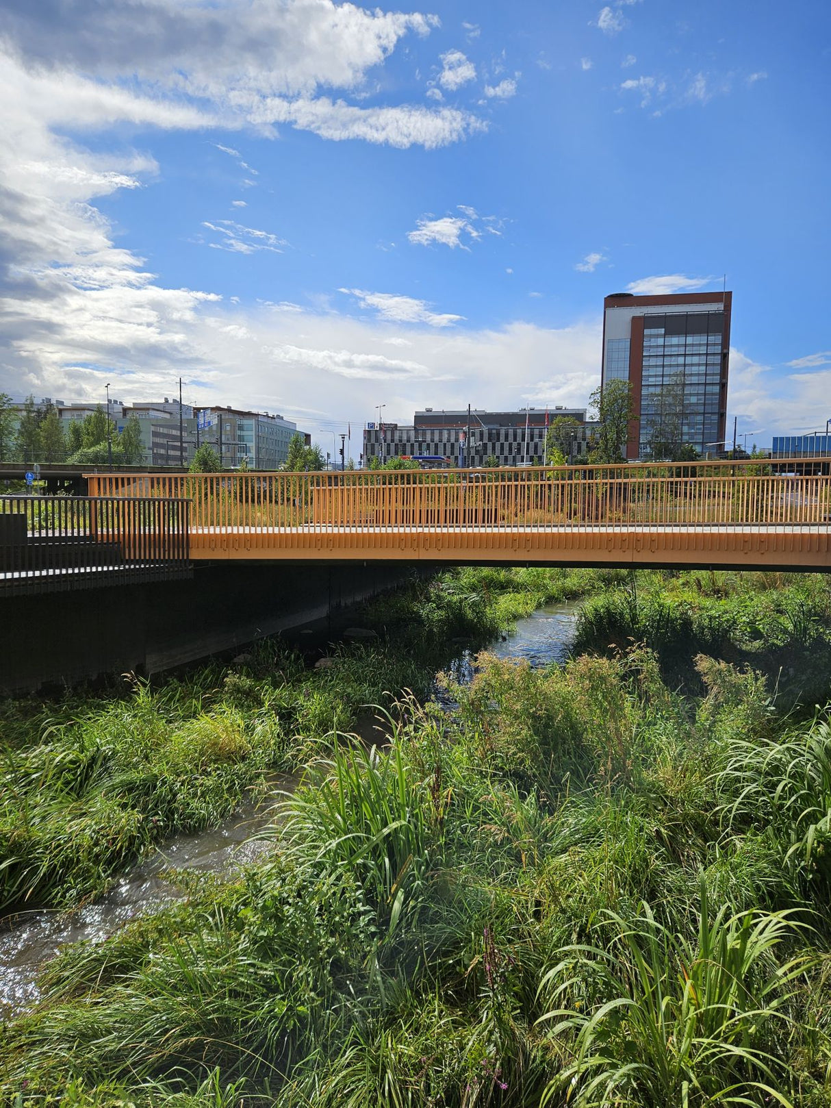 Torpanpiha® Niittymulta PLUSSA - Kosteat niityt